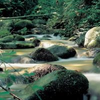 2-parque-natural-montseny.jpeg